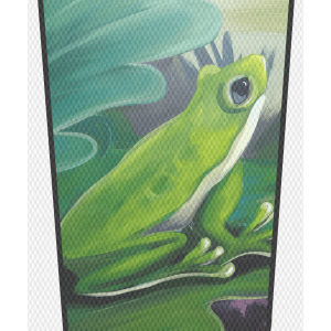 Green Frog on lily pad tropical scene adlt mockup