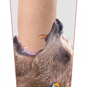Gnarly Bear V1