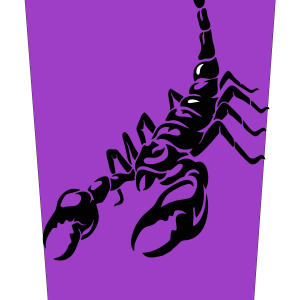 Black Scorpion Purple Bgnd Mockup V1