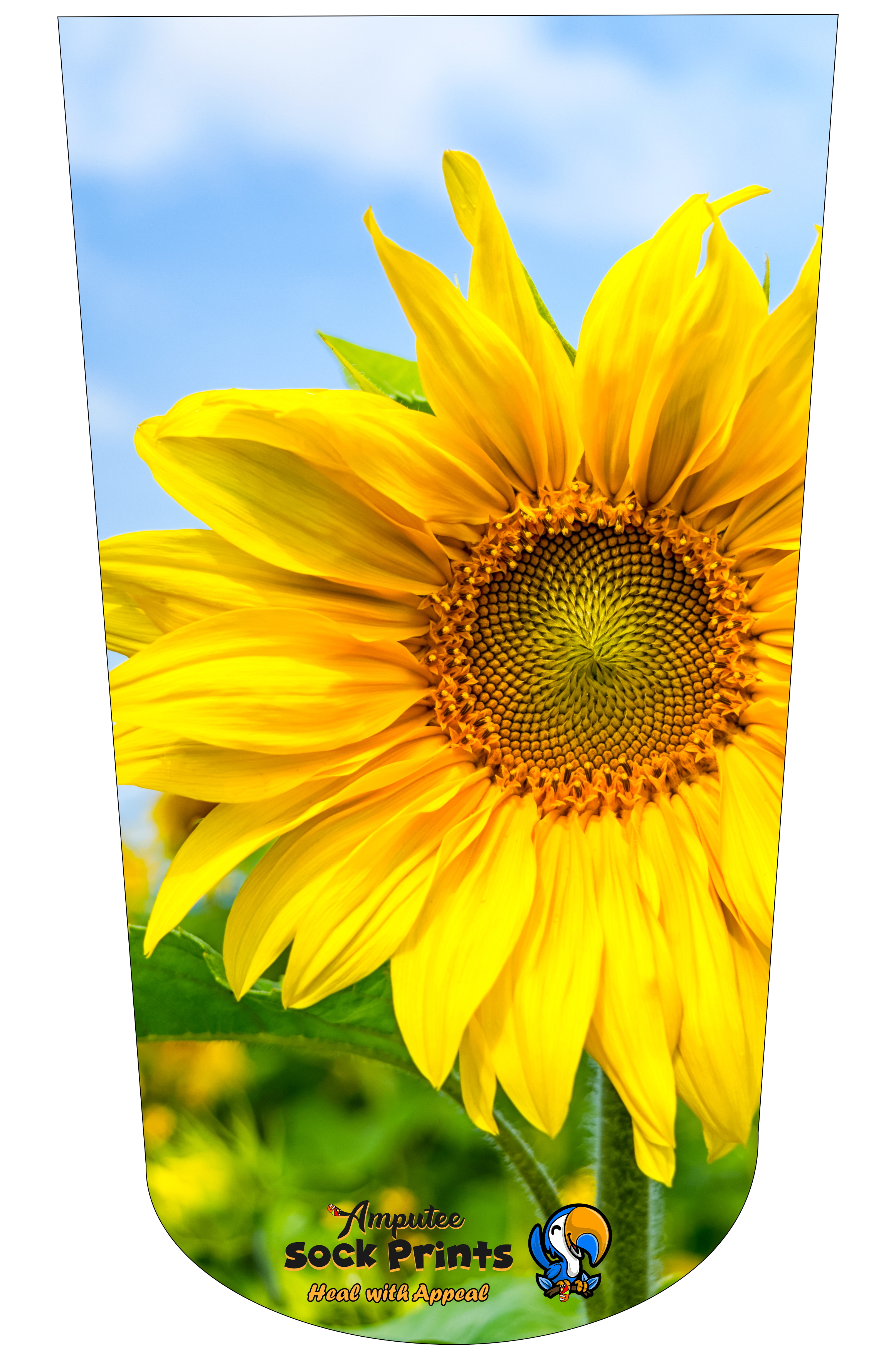 Sunflower Upclose V1