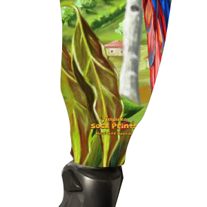 Macaw tropical V1 BOOT