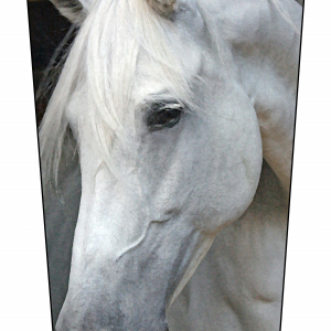 Horse Headshot V2