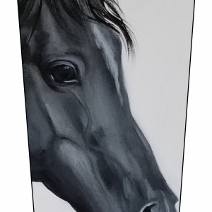 Horse Headshot V3