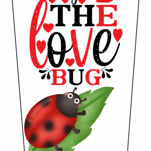 Lady Bug V3