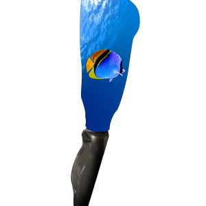 Underwater view w fish V1 BOOT