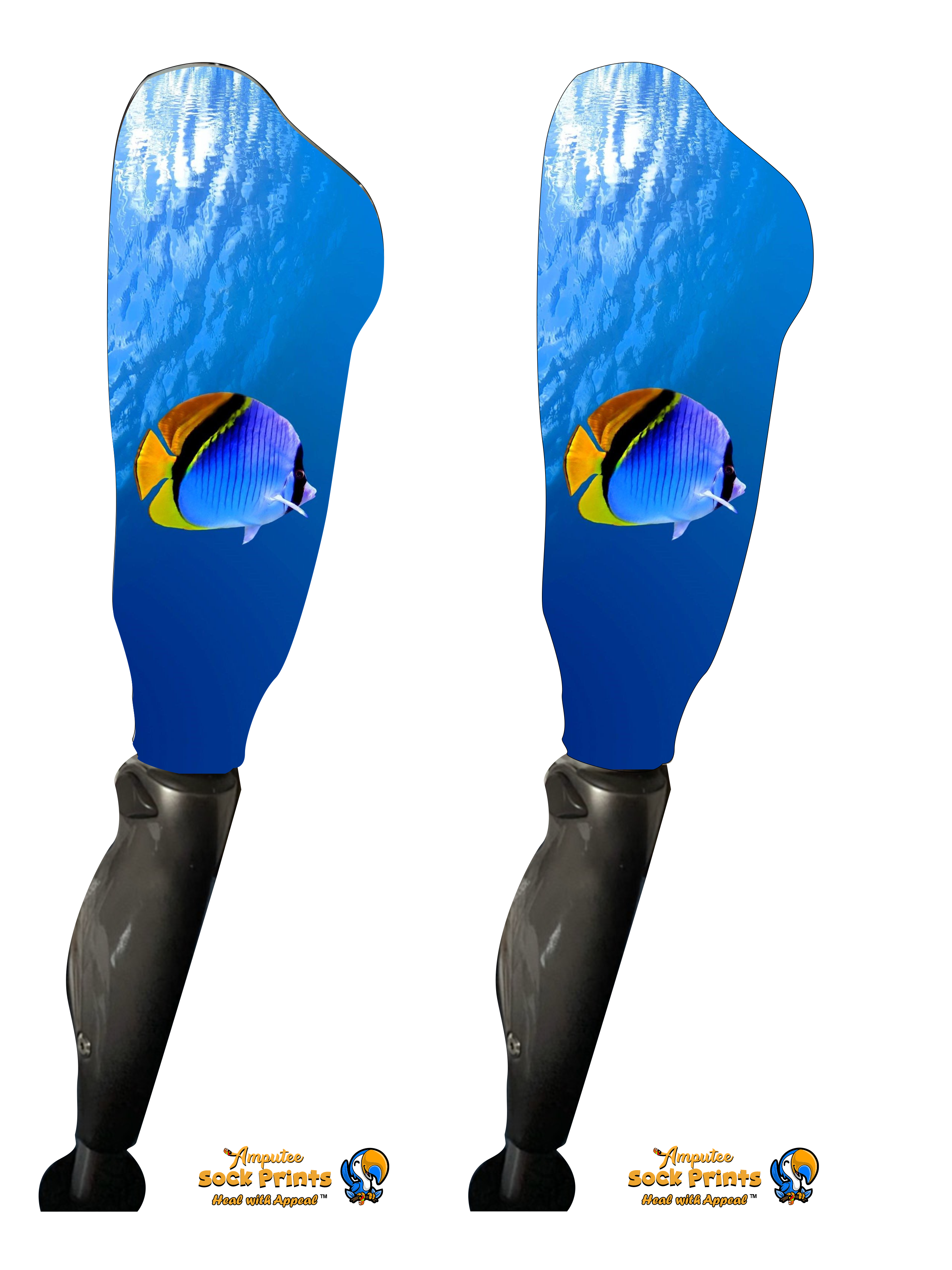 Underwater view w fish V1 BOOT PAIR