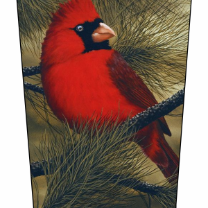 Red cardinal V1 BTKA
