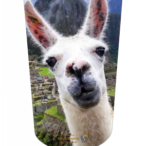LLama V2