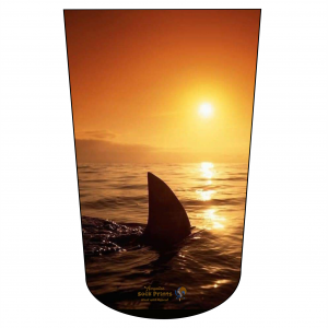 Jaws2 2023 BTKA