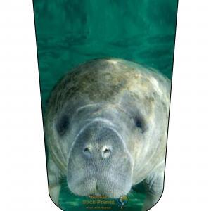 Manatee V1 BTKA REG Mockup