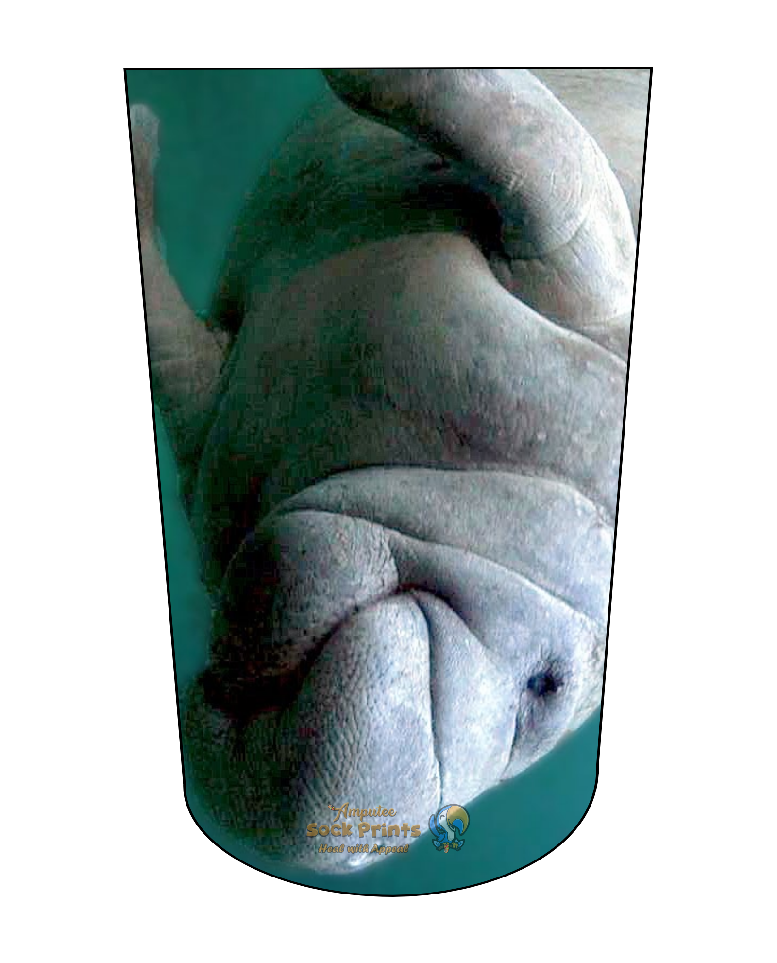 Manatee V2 BTKA REG Mockup