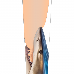 Tiger Shark SLEEVE XL Mockup