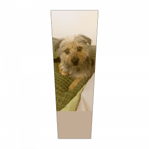 Cutie Patootie V1B mar 2025 Prosthetic SLEEVE