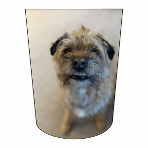 Amputee Sock "k's Dog Smiles", 3ply Stump Sock